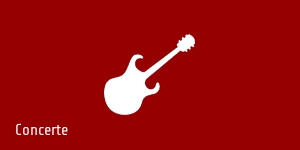 HDV Studio Timisoara