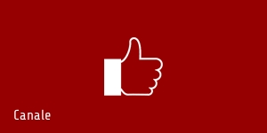 HDV Studio Timisoara