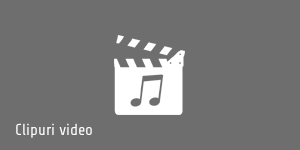 HDV Studio Timisoara